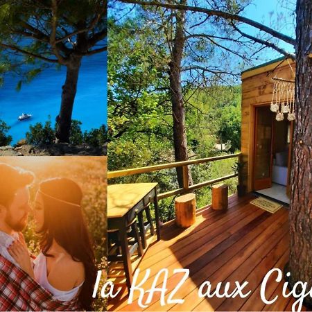 Cabane Dans Les Arbres "La Kaz Aux Cigales" Cuers Exteriör bild