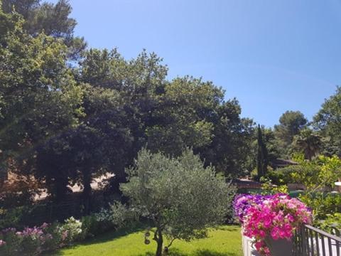 Cabane Dans Les Arbres "La Kaz Aux Cigales" Cuers Exteriör bild