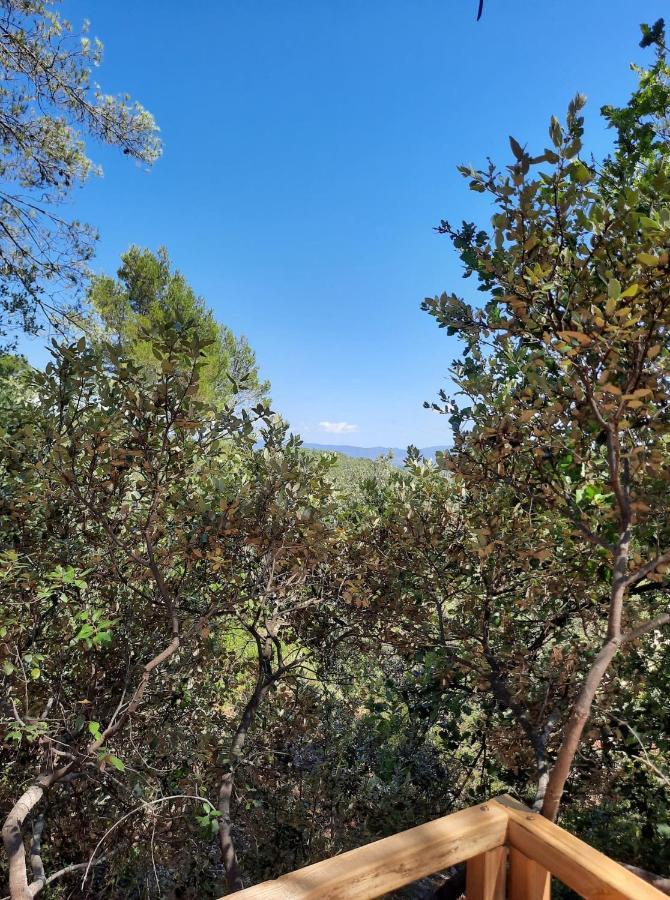 Cabane Dans Les Arbres "La Kaz Aux Cigales" Cuers Exteriör bild
